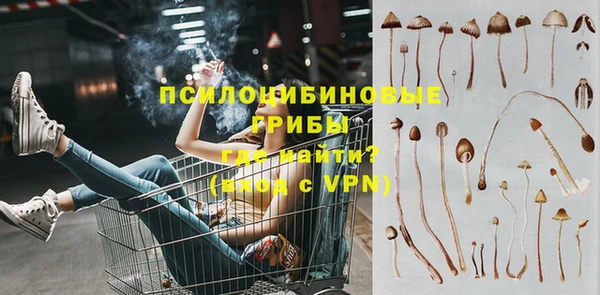 СК Бронницы