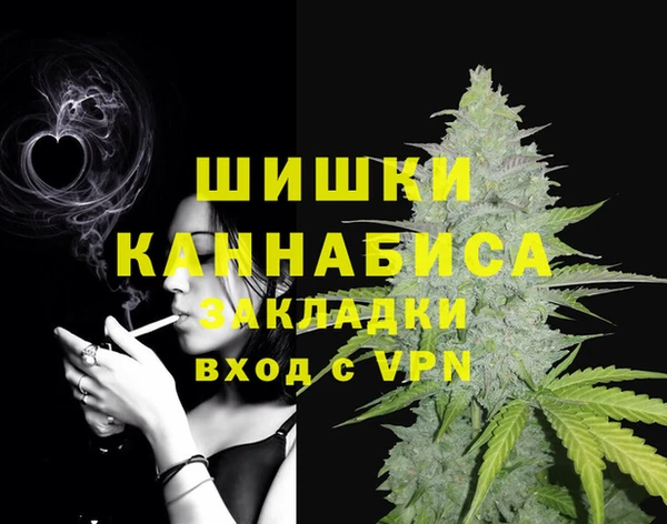 таблы Бородино