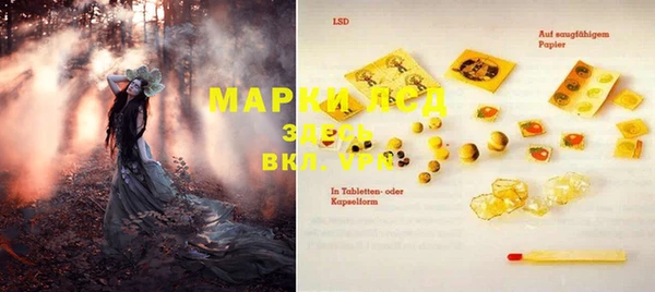 таблы Бородино