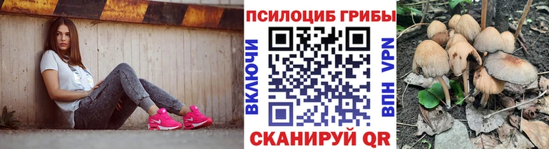 наркота ОМГ ОМГ ТОР Галлюциногенные грибы ЛСД Уссурийск